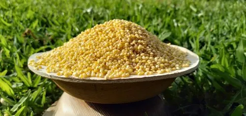 Proso Millet Unpolished