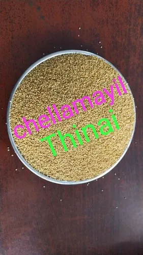Thinai foxtail millet