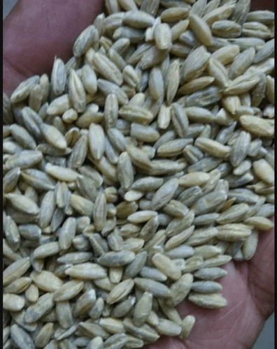 barley