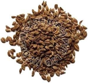 Ajwain Seeds, Condition : fresh