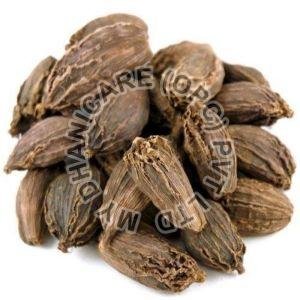 Black Cardamom, Shelf Life : 6 Months