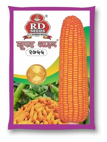 Hybrid Maize Corn Seeds