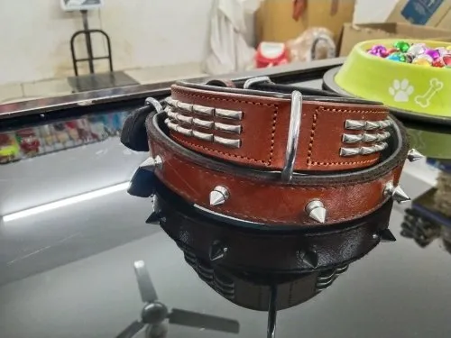 leather collars