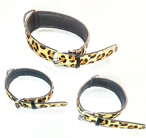 leather collars