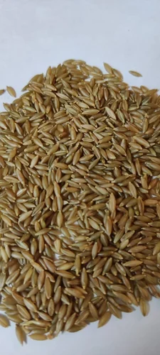 brown rice