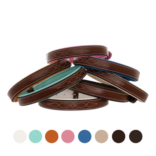 leather collars