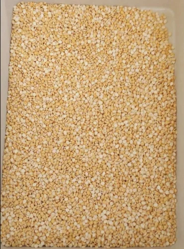 chana dal