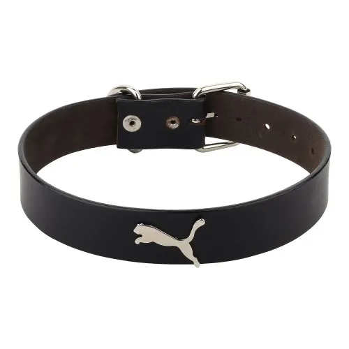 leather dog collars