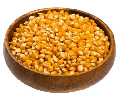 Yellow Raw Maize