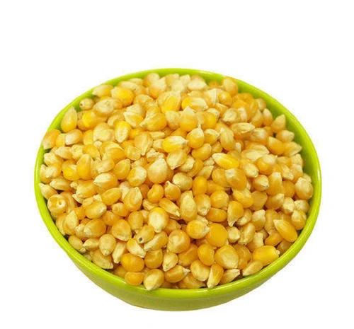 yellow corn
