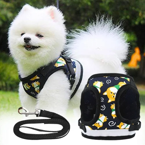 dog harness