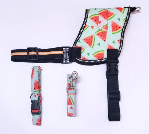dog harness