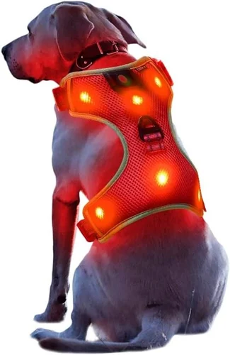 dog harness