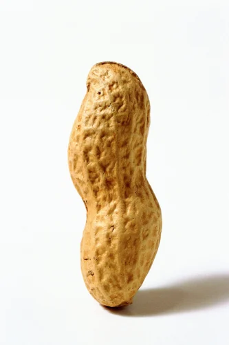 Super Sing Roasted Peanut
