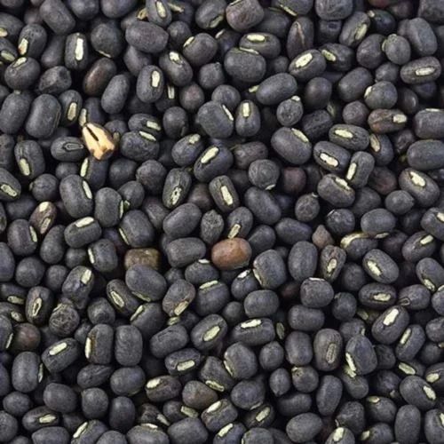 urad dal