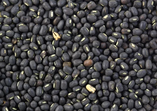 urad dal