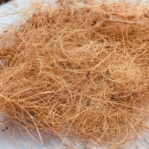 Coconut Coir Fiber