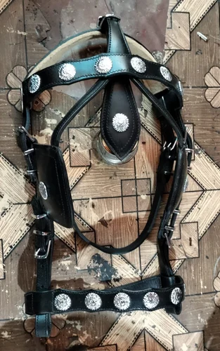 Brass Leather Horse Bridle