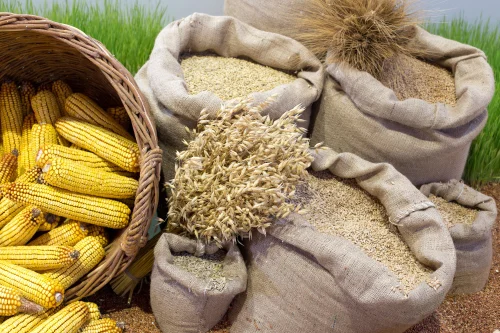 food grains