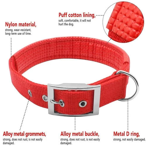 Pet Dog Collar