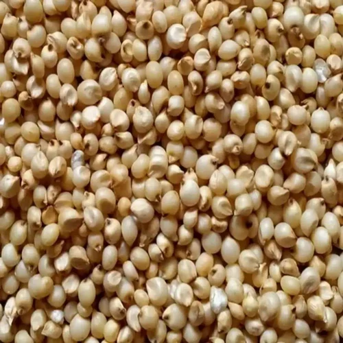 food grains