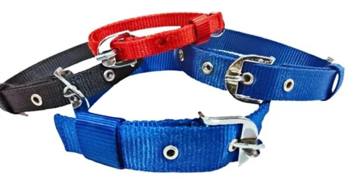 Nylon Dog Collar