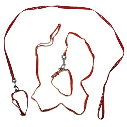 Puppy Collar Set