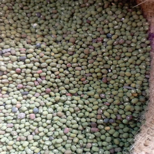 green moong