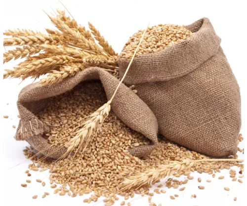 Organic Lokwan Wheat
