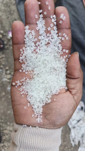 indian sugar