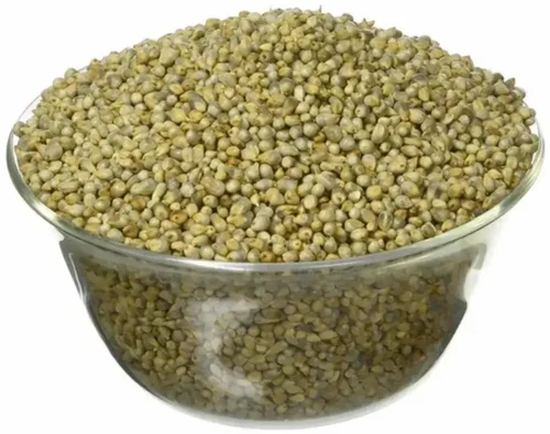 Green Millet Bajra/ Green Millet/ Bajra/ Bajri/ Millet