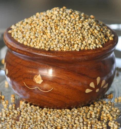 Pearl Millet Bajra