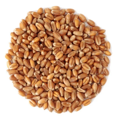 organic grains