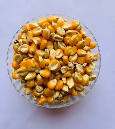 Corn Germ Cake