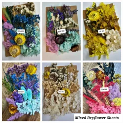 dried flower