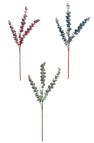 cut flowers