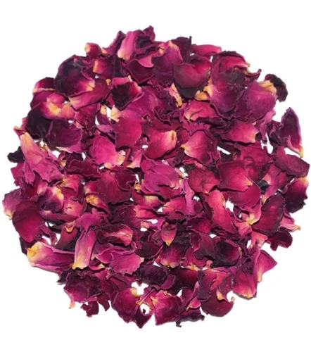 rose flower