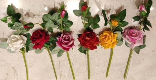 rose flower
