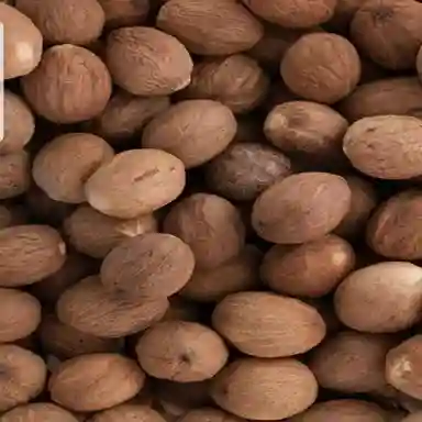 Dried Nutmeg