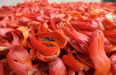Natural Mace