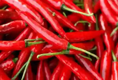Fresh Red Chilli By Jo Brothers Ocean