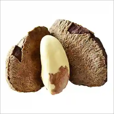 Brazil Nuts