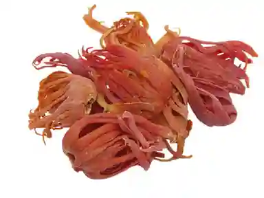 Mace Spice