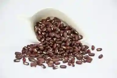 Red Bamboon Bean