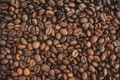 Cocoa Coffee Beans