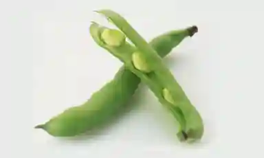 Finest Broad Beans