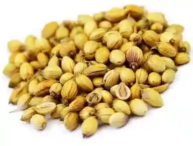 Coriander Seeds, Style : Dried