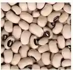 Black Eyed Bean