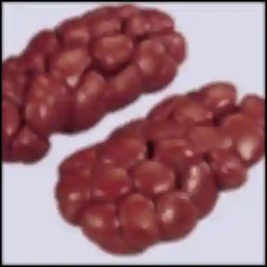 Halal Frozen Beef