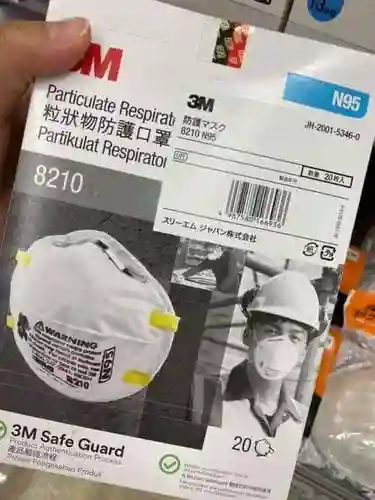 Non-woven Fabrics Face Mask